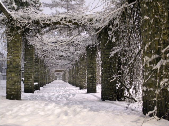 Zdjęcie w galerii na portalu naszraciborz.pl: Magiczny Racibórz wiadomości z regionu
