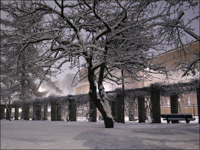 Zdjęcie w galerii na portalu naszraciborz.pl: Magiczny Racibórz wiadomości z regionu