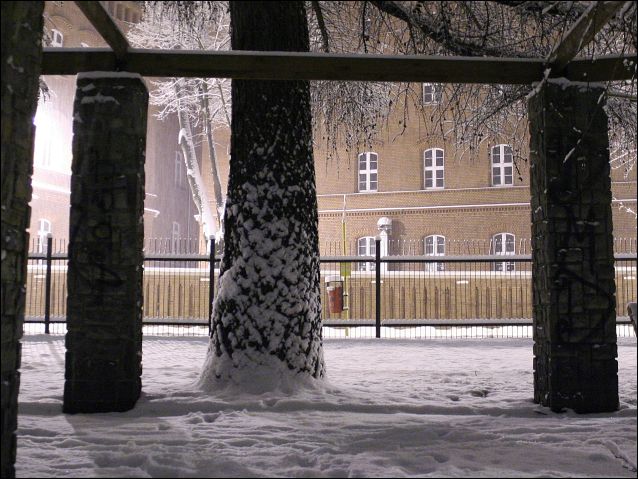 Zdjęcie w galerii na portalu naszraciborz.pl: Magiczny Racibórz wiadomości z regionu