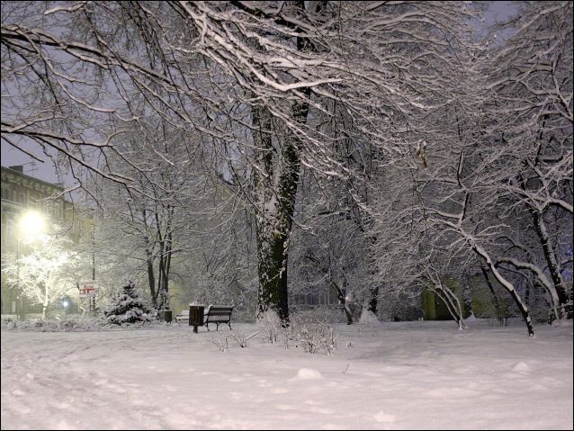 Zdjęcie w galerii na portalu naszraciborz.pl: Magiczny Racibórz wiadomości z regionu