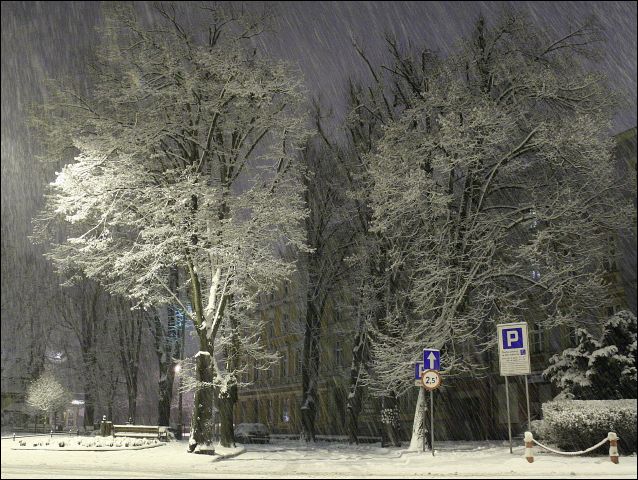 Zdjęcie w galerii na portalu naszraciborz.pl: Magiczny Racibórz wiadomości z regionu