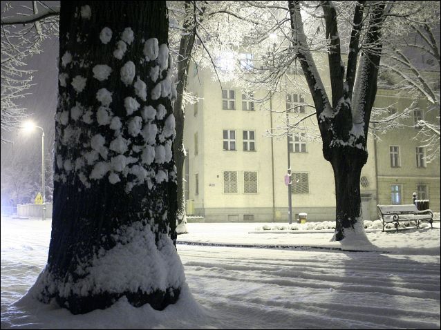 Zdjęcie w galerii na portalu naszraciborz.pl: Magiczny Racibórz wiadomości z regionu