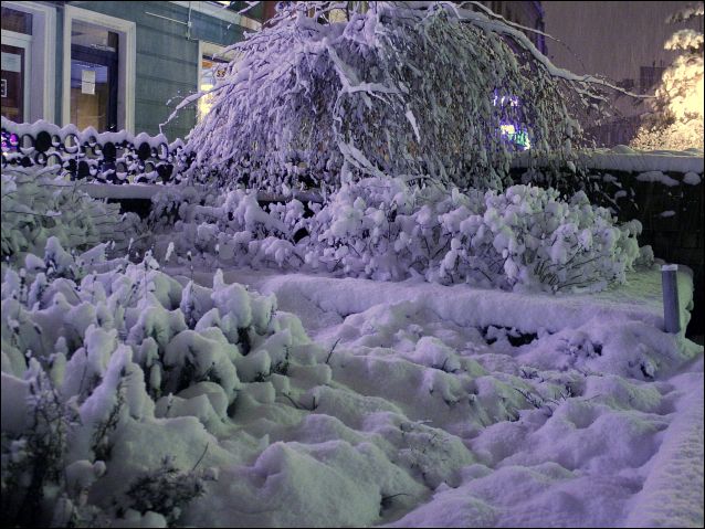 Zdjęcie w galerii na portalu naszraciborz.pl: Magiczny Racibórz wiadomości z regionu