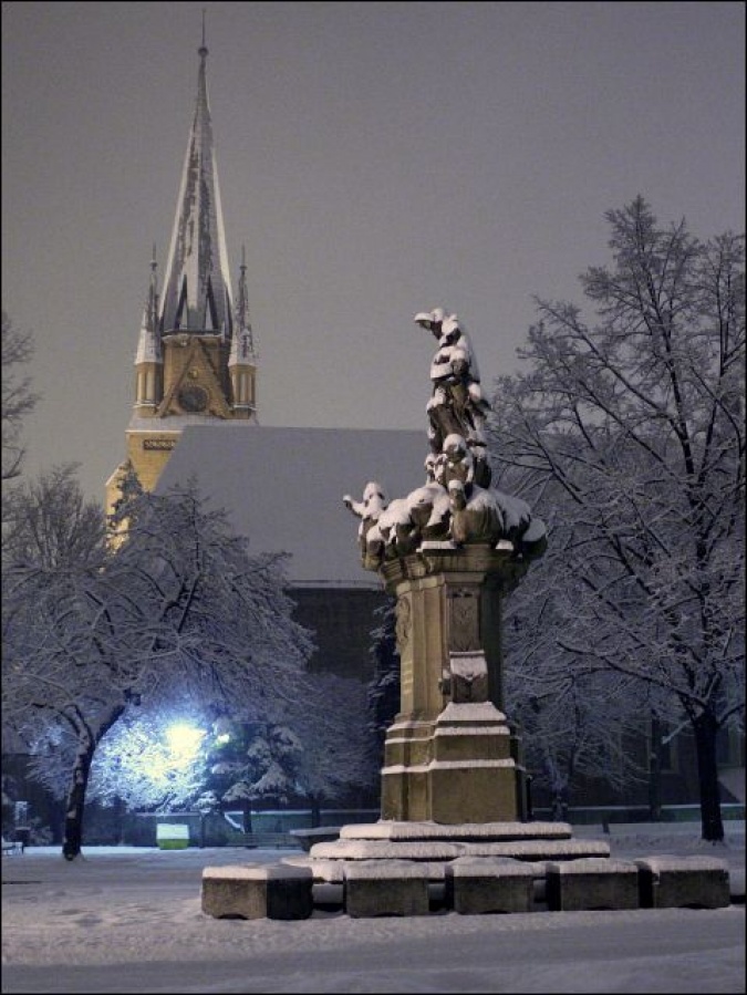 Zdjęcie w galerii na portalu naszraciborz.pl: Magiczny Racibórz wiadomości z regionu