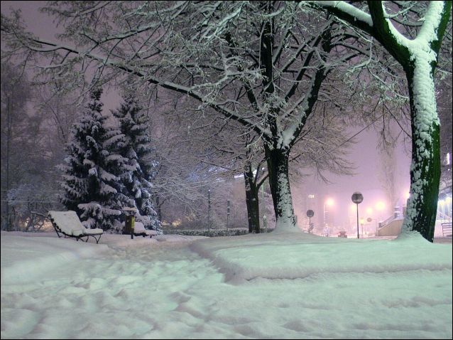 Zdjęcie w galerii na portalu naszraciborz.pl: Magiczny Racibórz wiadomości z regionu