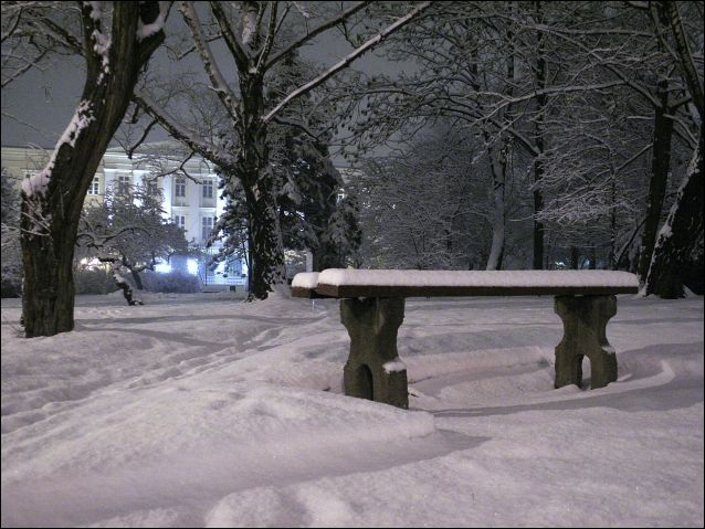 Zdjęcie w galerii na portalu naszraciborz.pl: Magiczny Racibórz wiadomości z regionu