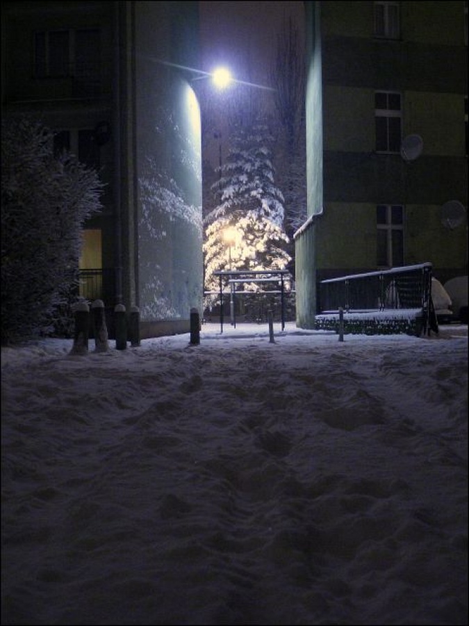 Zdjęcie w galerii na portalu naszraciborz.pl: Magiczny Racibórz wiadomości z regionu