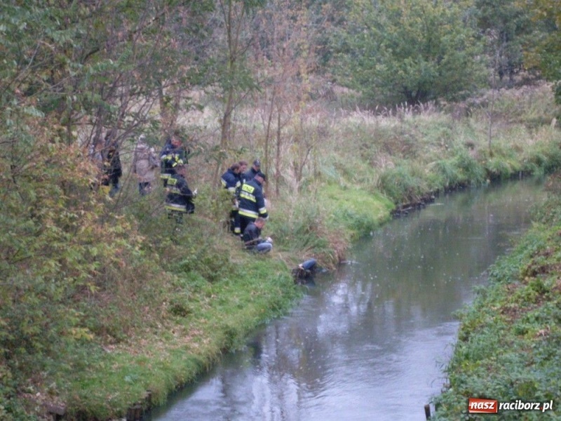 Zdjęcie w galerii na portalu naszraciborz.pl: W Kuźni w Rudce znaleziono zwłoki wiadomości z regionu