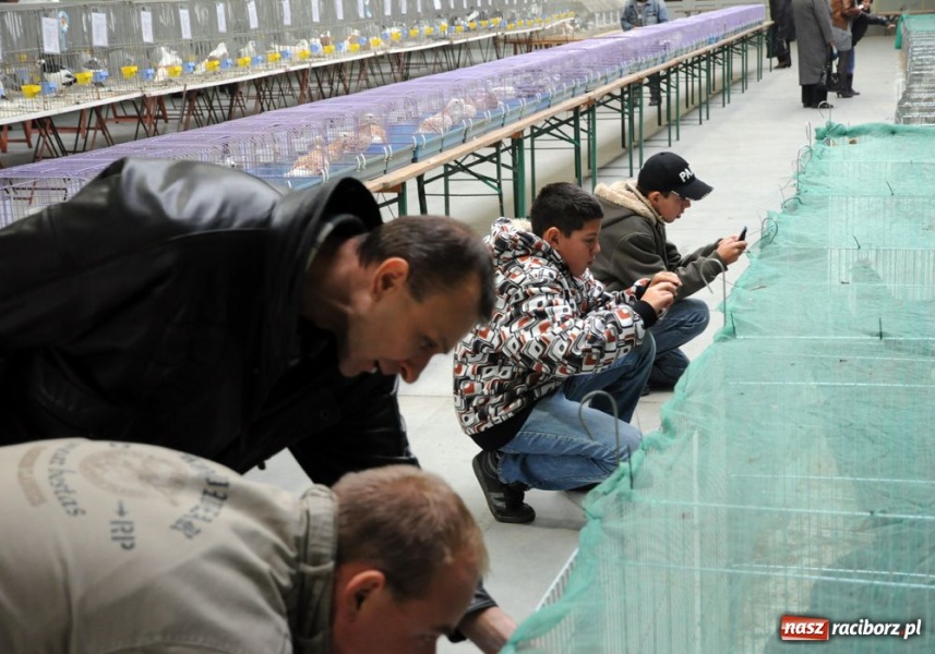 Zdjęcie w galerii na portalu naszraciborz.pl: Mandarynki, karolinki i sebrytki wiadomości z regionu