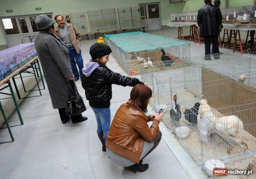 Zdjęcie w galerii na portalu naszraciborz.pl: Mandarynki, karolinki i sebrytki wiadomości z regionu