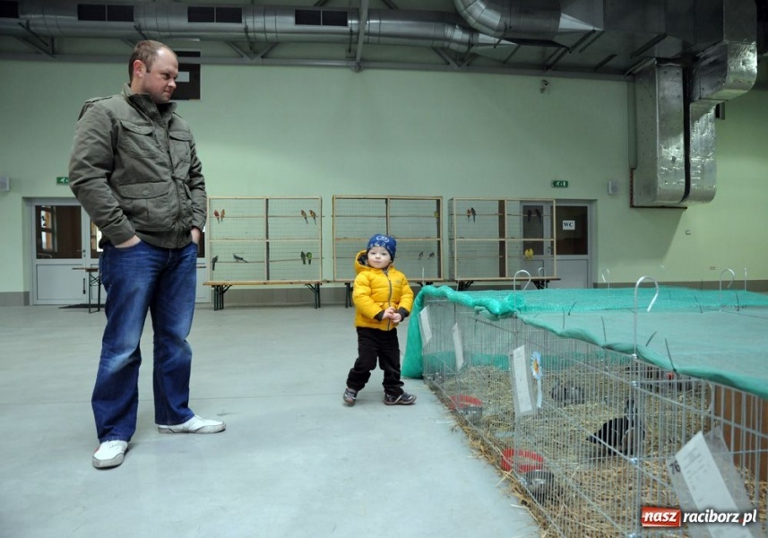 Zdjęcie w galerii na portalu naszraciborz.pl: Mandarynki, karolinki i sebrytki wiadomości z regionu