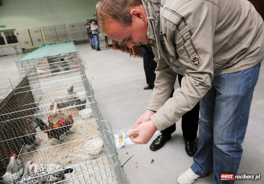 Zdjęcie w galerii na portalu naszraciborz.pl: Mandarynki, karolinki i sebrytki wiadomości z regionu