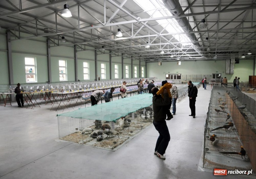 Zdjęcie w galerii na portalu naszraciborz.pl: Mandarynki, karolinki i sebrytki wiadomości z regionu