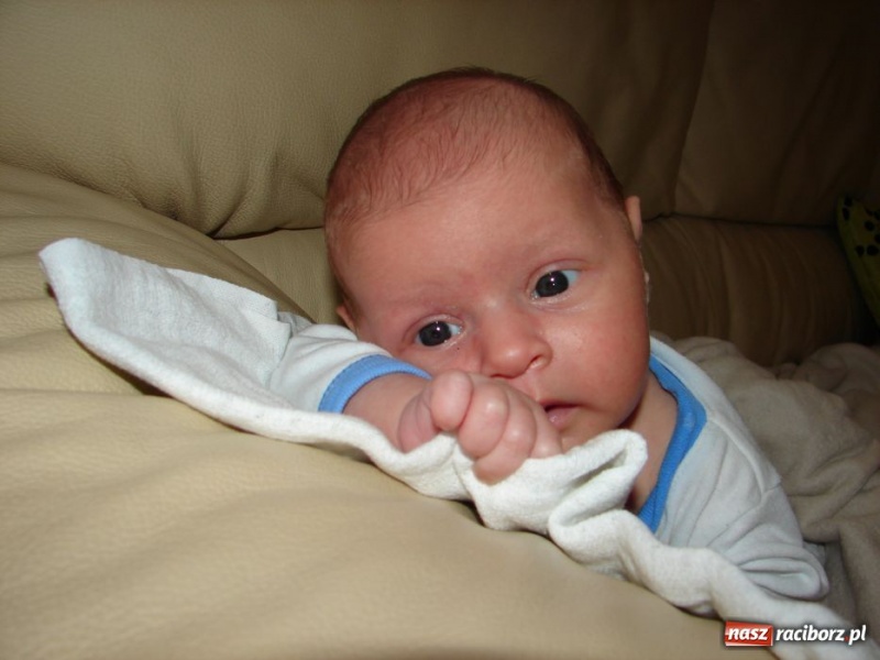 Zdjęcie w galerii na portalu naszraciborz.pl: Potrzebna pomoc dla Tomaszka wiadomości z regionu