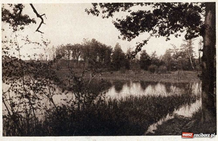 Zdjęcie w galerii na portalu naszraciborz.pl: Powiat raciborski na starej pocztówce wiadomości z regionu