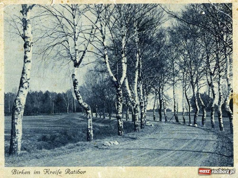 Zdjęcie w galerii na portalu naszraciborz.pl: Powiat raciborski na starej pocztówce wiadomości z regionu