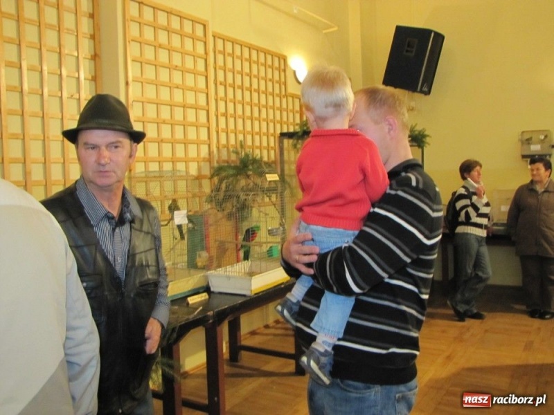 Zdjęcie w galerii na portalu naszraciborz.pl: Papugi, kanarki, gołębie... wiadomości z regionu