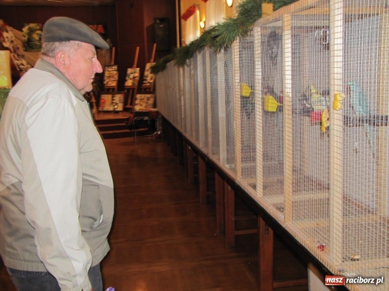 Zdjęcie w galerii na portalu naszraciborz.pl: Papugi, kanarki, gołębie... wiadomości z regionu