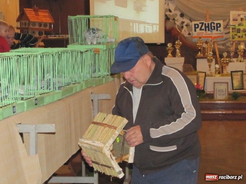 Zdjęcie w galerii na portalu naszraciborz.pl: Papugi, kanarki, gołębie... wiadomości z regionu