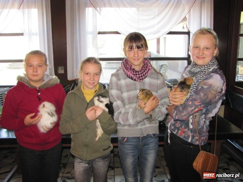 Zdjęcie w galerii na portalu naszraciborz.pl: Papugi, kanarki, gołębie... wiadomości z regionu