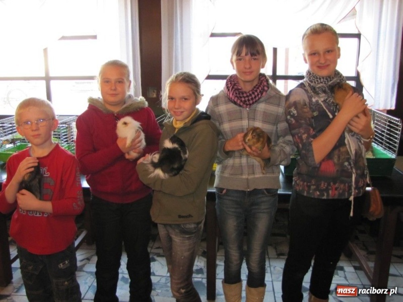 Zdjęcie w galerii na portalu naszraciborz.pl: Papugi, kanarki, gołębie... wiadomości z regionu