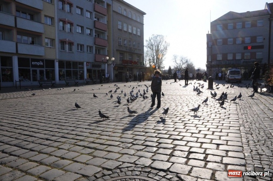 Zdjęcie w galerii na portalu naszraciborz.pl: Nie wystarczy tylko niepodległość wiadomości z regionu
