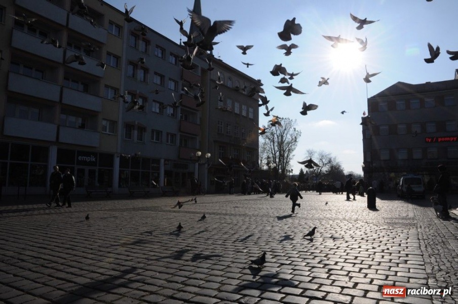 Zdjęcie w galerii na portalu naszraciborz.pl: Nie wystarczy tylko niepodległość wiadomości z regionu