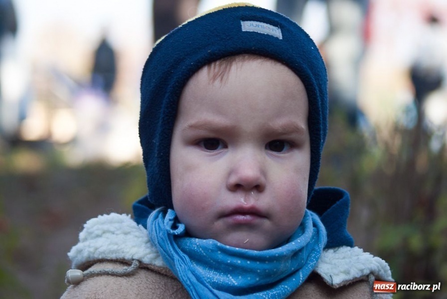 Zdjęcie w galerii na portalu naszraciborz.pl: Udany Bieg Niepodległości wiadomości z regionu