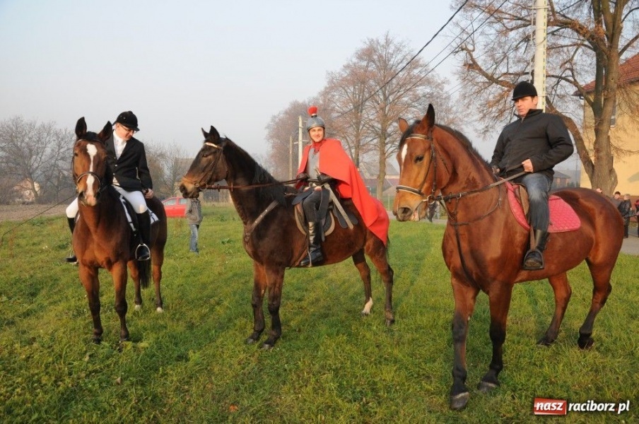 Zdjęcie w galerii na portalu naszraciborz.pl: Federina powiozła świętego Marcina wiadomości z regionu