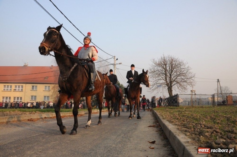 Zdjęcie w galerii na portalu naszraciborz.pl: Federina powiozła świętego Marcina wiadomości z regionu