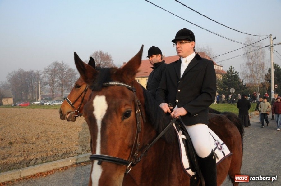 Zdjęcie w galerii na portalu naszraciborz.pl: Federina powiozła świętego Marcina wiadomości z regionu