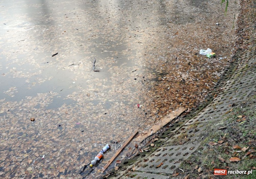 Zdjęcie w galerii na portalu naszraciborz.pl: Panie prezesie, to trzeba posprzątać wiadomości z regionu