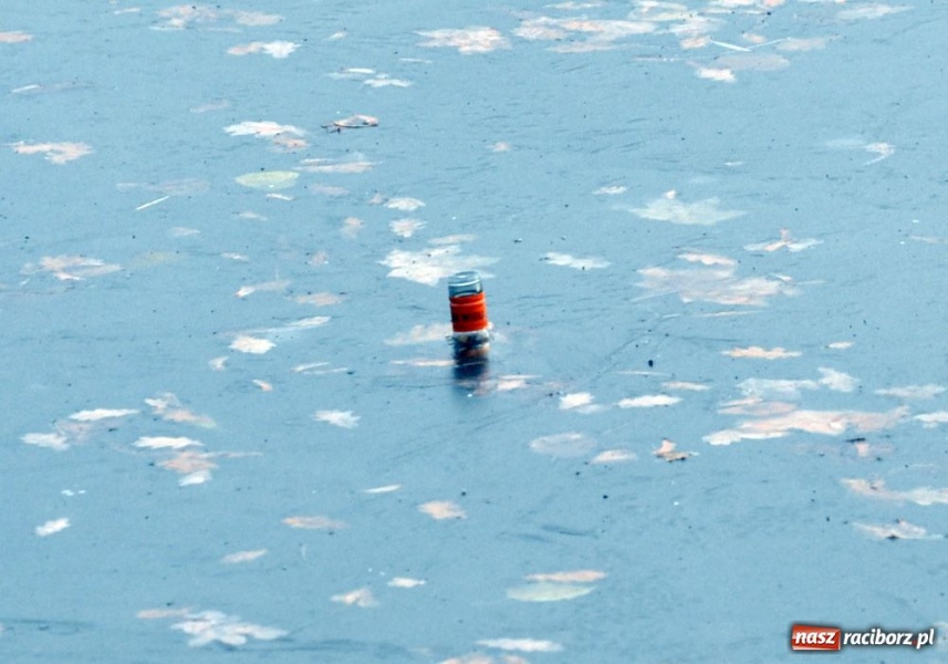 Zdjęcie w galerii na portalu naszraciborz.pl: Panie prezesie, to trzeba posprzątać wiadomości z regionu