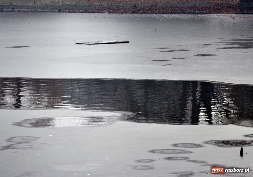 Zdjęcie w galerii na portalu naszraciborz.pl: Panie prezesie, to trzeba posprzątać wiadomości z regionu