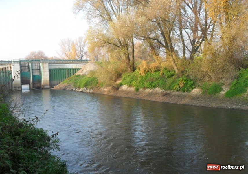 Zdjęcie w galerii na portalu naszraciborz.pl: Przystań wodniacka czy kostka Rubika? wiadomości z regionu
