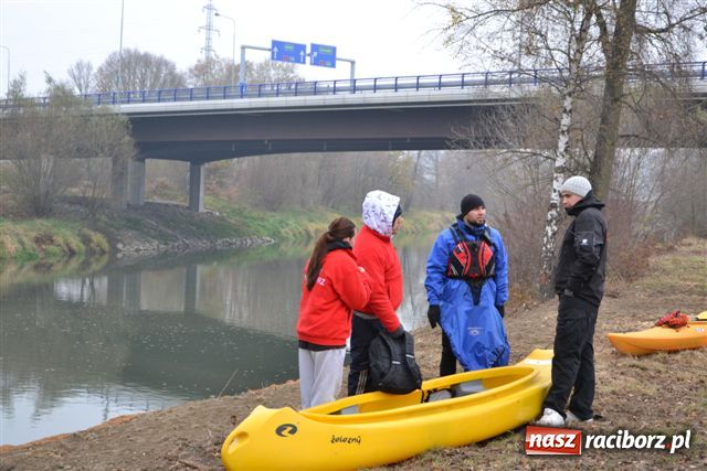 Zdjęcie w galerii na portalu naszraciborz.pl: Morsy dopłynęły już do Chałupek wiadomości z regionu