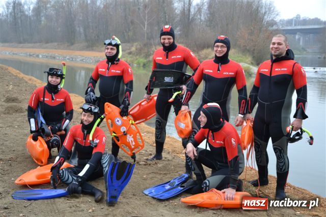 Zdjęcie w galerii na portalu naszraciborz.pl: Morsy dopłynęły już do Chałupek wiadomości z regionu