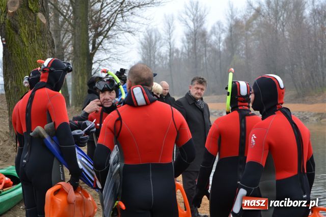 Zdjęcie w galerii na portalu naszraciborz.pl: Morsy dopłynęły już do Chałupek wiadomości z regionu