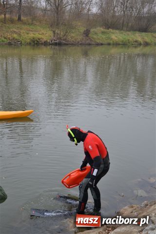 Zdjęcie w galerii na portalu naszraciborz.pl: Morsy dopłynęły już do Chałupek wiadomości z regionu