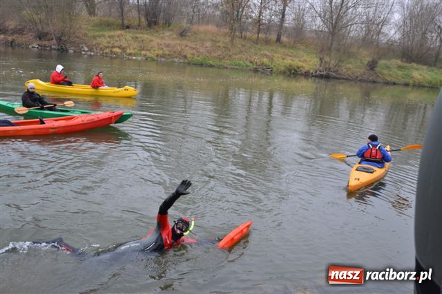 Zdjęcie w galerii na portalu naszraciborz.pl: Morsy dopłynęły już do Chałupek wiadomości z regionu