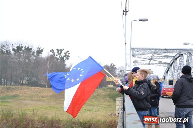 Zdjęcie w galerii na portalu naszraciborz.pl: Morsy dopłynęły już do Chałupek wiadomości z regionu