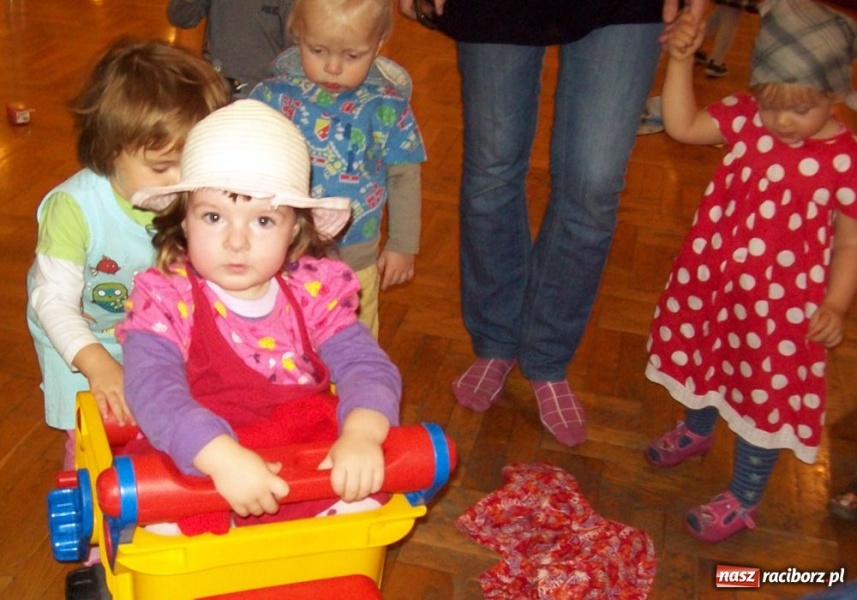 Zdjęcie w galerii na portalu naszraciborz.pl: Fikusie robiły przymiarki wiadomości z regionu