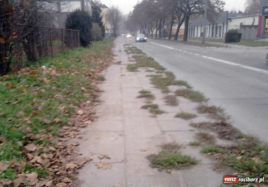 Zdjęcie w galerii na portalu naszraciborz.pl: Ten chodnik woła o remont wiadomości z regionu