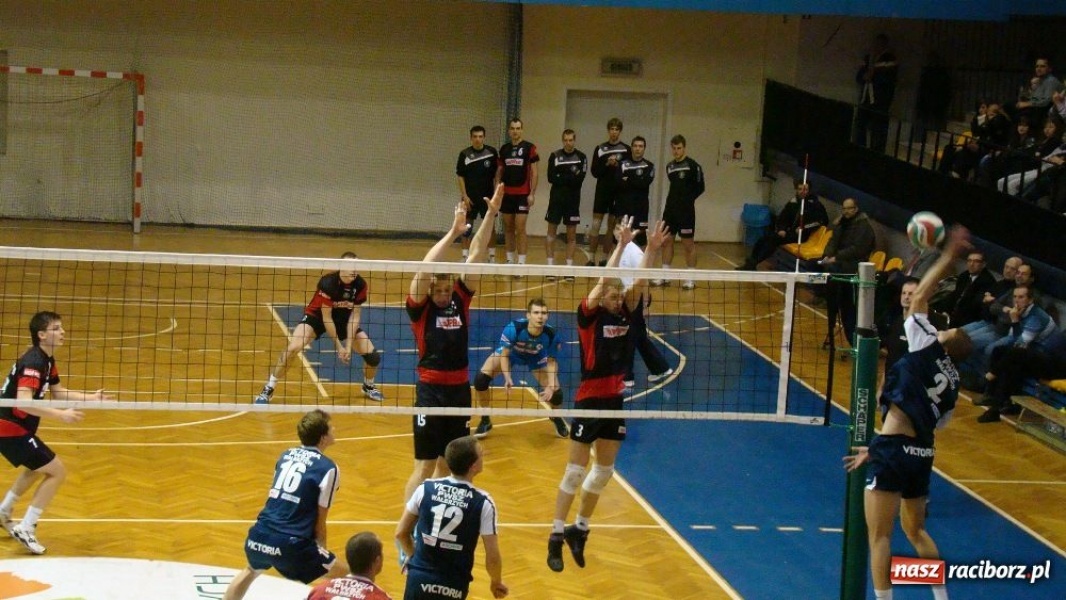 Zdjęcie w galerii na portalu naszraciborz.pl: AZS Rafako wraca z Wałbrzycha z tarczą  wiadomości z regionu