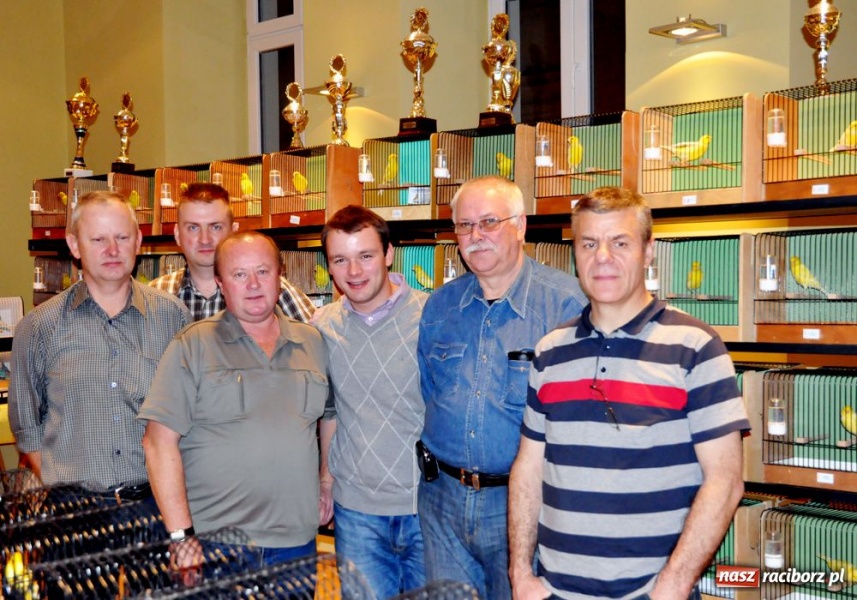 Zdjęcie w galerii na portalu naszraciborz.pl: Raciborscy hodowcy ze srebrem wiadomości z regionu