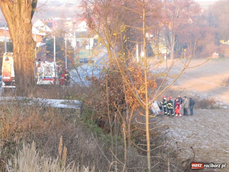 Zdjęcie w galerii na portalu naszraciborz.pl: Wpadła w poślizg, wylądowała w rowie wiadomości z regionu