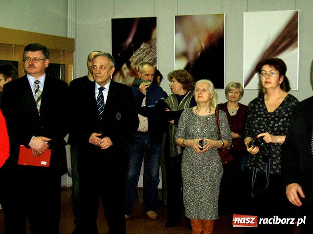 Zdjęcie w galerii na portalu naszraciborz.pl: Transprojekcja Gabrieli Habrom-Rokosz  wiadomości z regionu