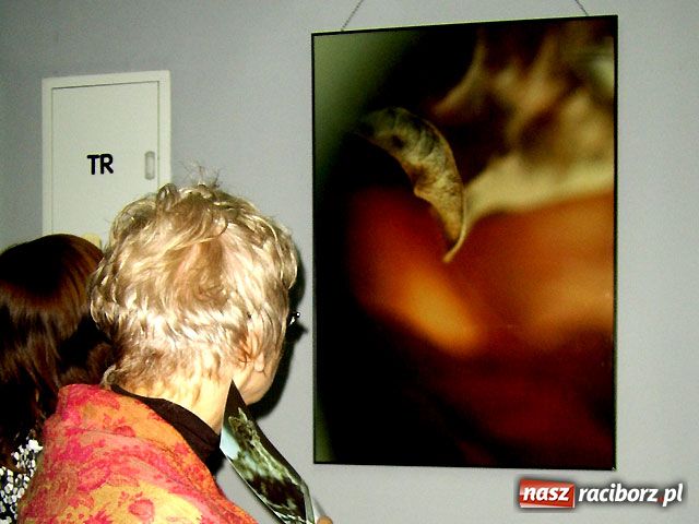 Zdjęcie w galerii na portalu naszraciborz.pl: Transprojekcja Gabrieli Habrom-Rokosz  wiadomości z regionu