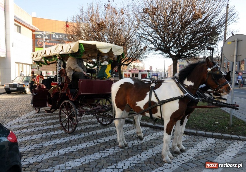 Zdjęcie w galerii na portalu naszraciborz.pl: Weekendowa MOC atrakcji z Młyńską wiadomości z regionu