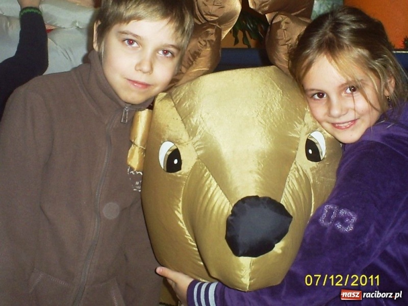 Zdjęcie w galerii na portalu naszraciborz.pl: Przenieśli się do ciepłych krajów... wiadomości z regionu